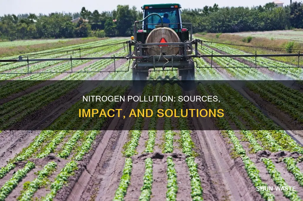 where can nitrogen pollution be found