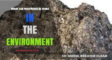 Exploring Phosphorus Sources: Where It Naturally Occurs in Our Environment