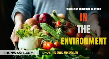 Exploring Threonine: Natural Sources and Environmental Presence Revealed