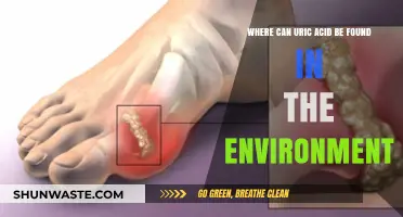 Exploring Uric Acid Sources: Environmental Presence and Natural Occurrences