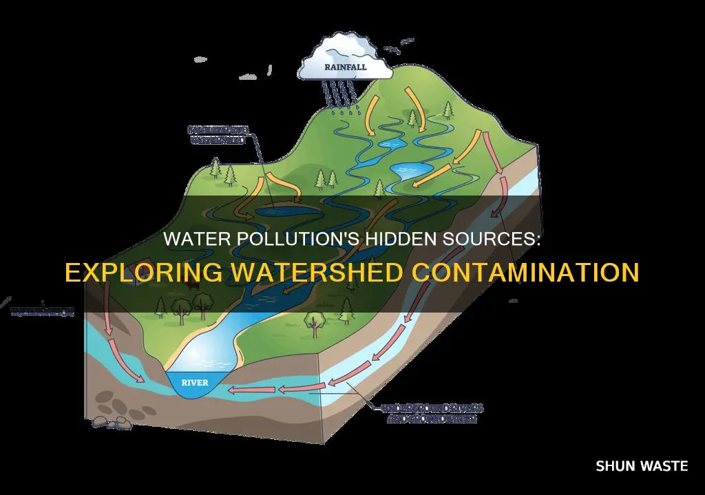 where can water pollution be found in a watershed