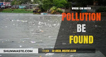 Water Pollution's Hidden Dangers: Where It lurks