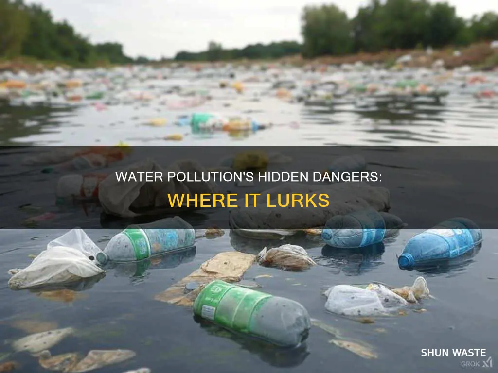 where can water pollution be found