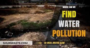 Water Pollution: Sources, Impact, and Solutions