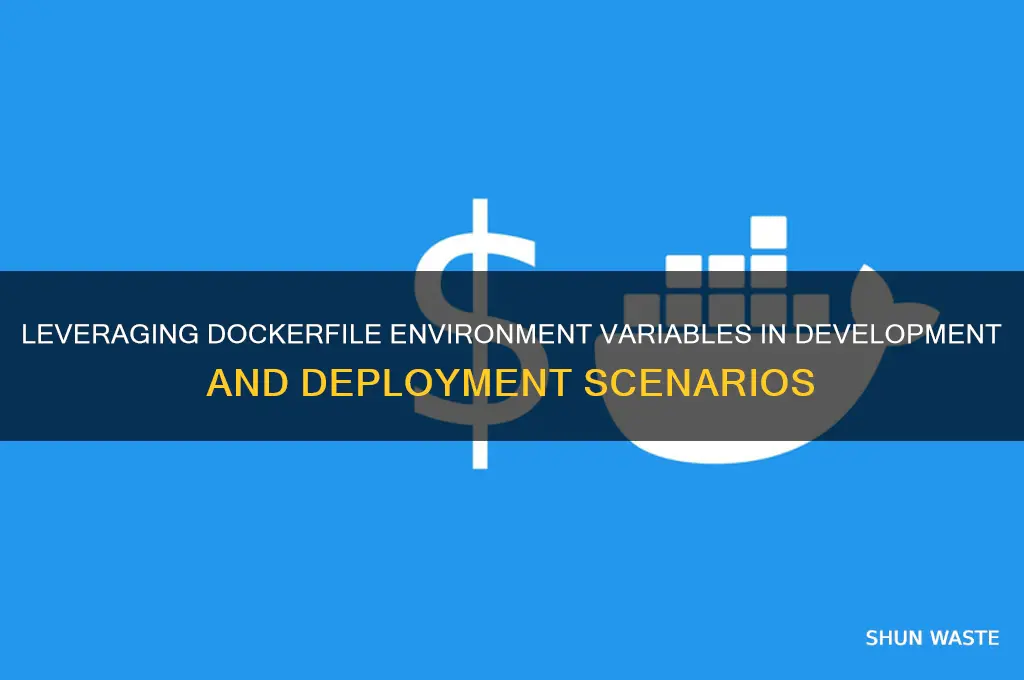where can we use dockerfile environment variables