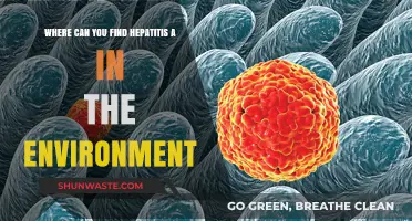 Hepatitis A: Environmental Sources and Hidden Risks Explained