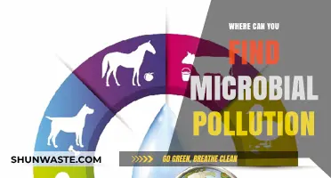 Microbial Pollution: Hidden Dangers in Everyday Places