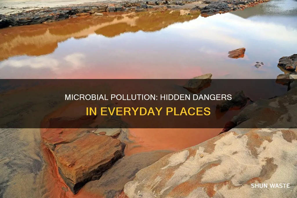 where can you find microbial pollution