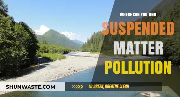 Suspended Matter Pollution: Hidden Dangers in Our Waterways