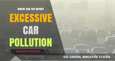 Report Car Pollution: Where to Take Action for a Greener Future