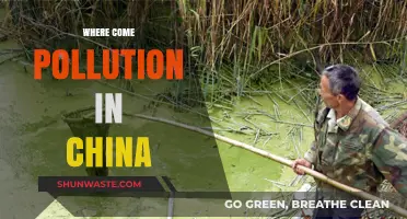 China's Pollution: Sources and Causes