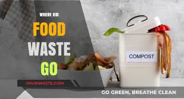From Farm to Table: The Surprising Journey of Food Waste