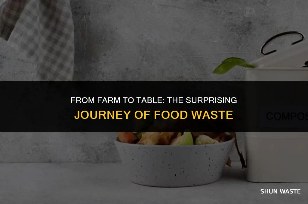 where did food waste go