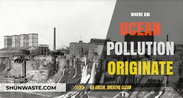 The Origin of Ocean Pollution: A Historical Perspective