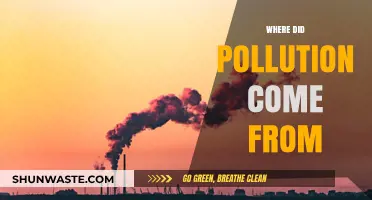 The Origin of Pollution: A Historical Perspective