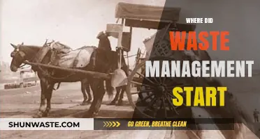Tracing the Origins: A Journey into Waste Management's Beginnings