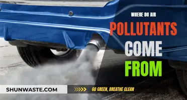 Air Pollutants: Sources and Origins