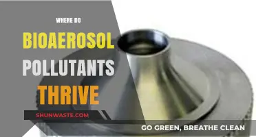 Bioaerosol Pollutants: Where They Thrive and How to Avoid Them