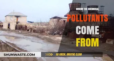 Sources of Chemical Pollutants: A Complex Issue