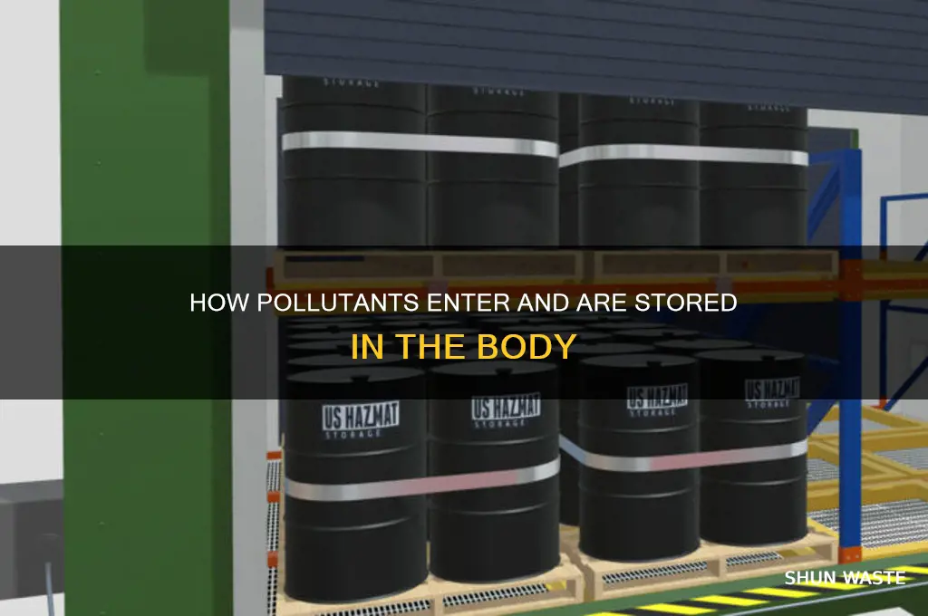 where do consumers store pollutant if it gets in there