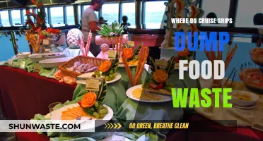The Hidden Trail: Where Cruise Ships Dispose of Food Waste