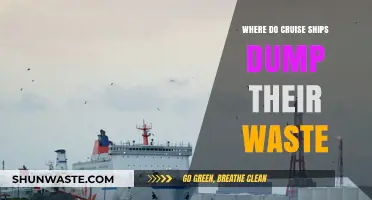 Cruise Ship Waste Disposal: Uncovering the Truth Behind Ocean Dumping