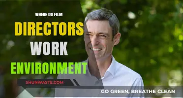 Exploring the Diverse Work Environments of Film Directors Worldwide