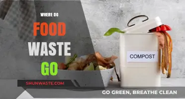 The Hidden Journey of Food Waste: From Plate to Planet