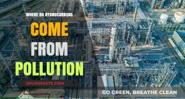 Hydrocarbons: Pollution's Origin and Environmental Impact