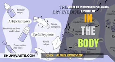 Hydrophobic Pollutants: Body's Fat Tissue Accumulation Mystery