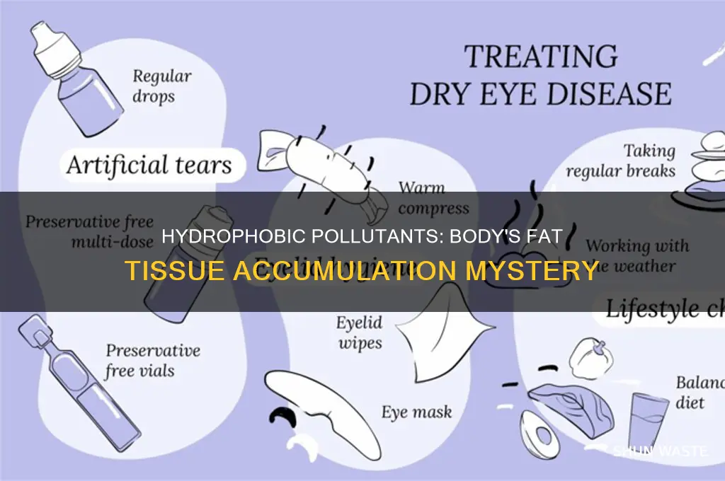where do hydrophobic pollutants accumulate in the body