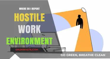 Reporting a Hostile Work Environment: Steps to Take and Resources