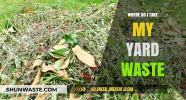 Where to Dispose of Yard Waste: Local Options and Tips