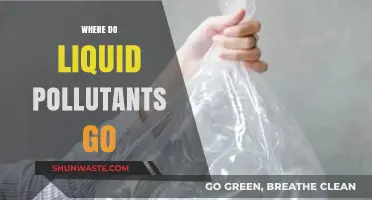 Liquid Pollutants: Where Do They Go?