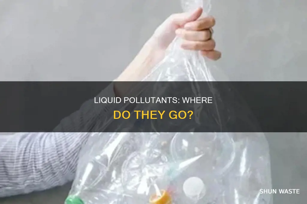 where do liquid pollutants go