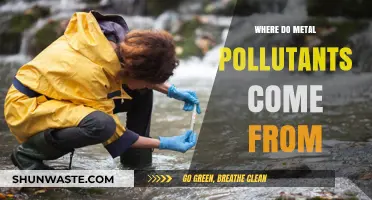 Metal Pollutants: Toxic Origins and Sources