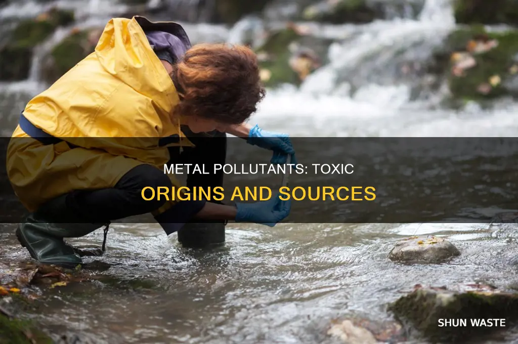 where do metal pollutants come from