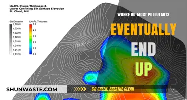 The Fate of Pollutants: Where Do They Go?