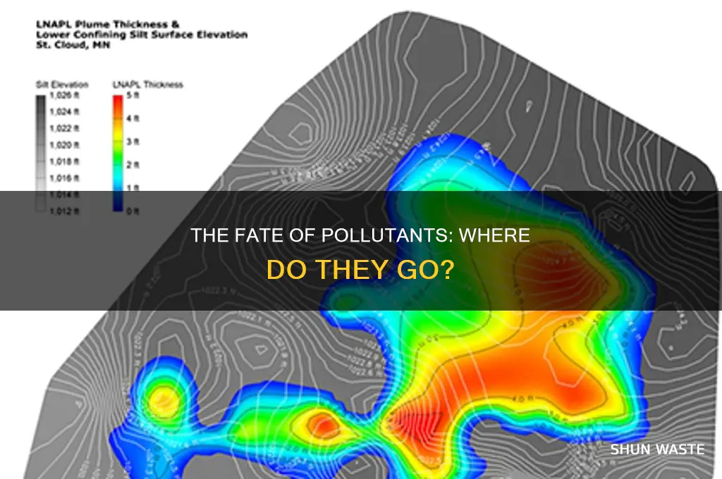 where do most pollutants eventually end up
