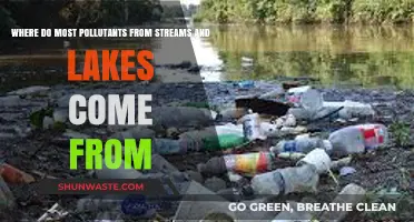 Human Activities: Polluting Our Streams and Lakes