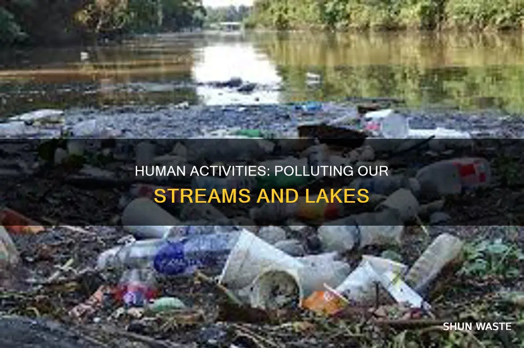 where do most pollutants from streams and lakes come from