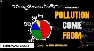 The Main Sources of Pollution and Their Impacts