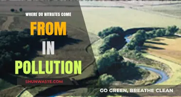 The Mystery of Nitrate Pollution: Sources and Origins