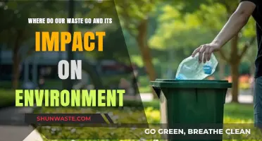 Waste Disposal's Environmental Impact: Tracing Our Trash's Journey and Consequences