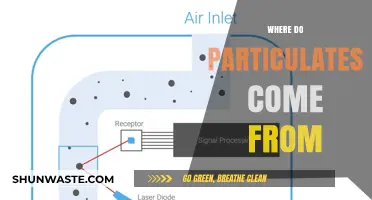 Sources of Particulates: What You Need to Know