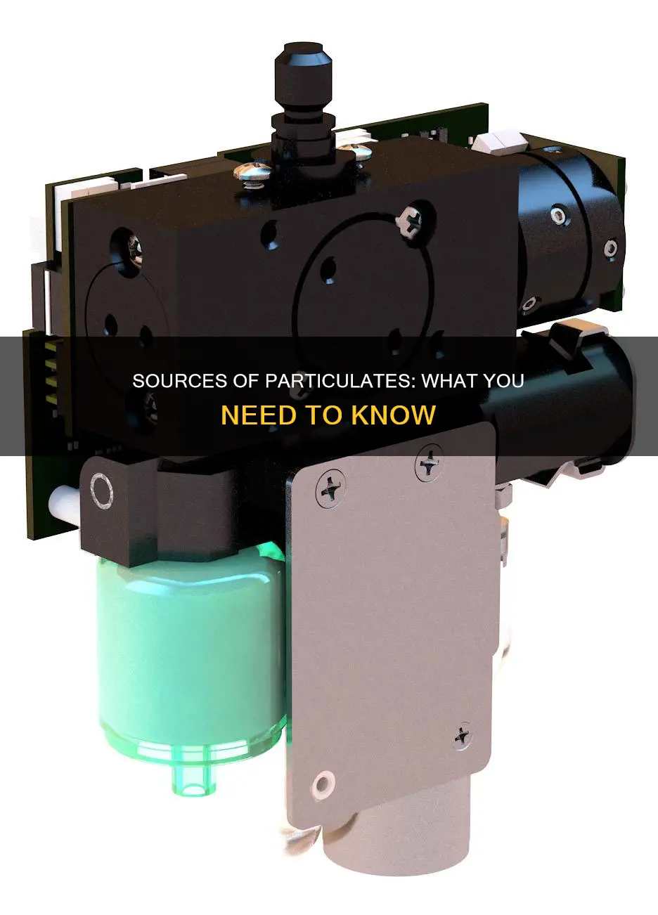 where do particulates come from