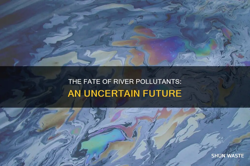 where do pollutants in rivers ultimately end up