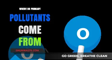 Sources of Primary Pollutants: A Comprehensive Guide