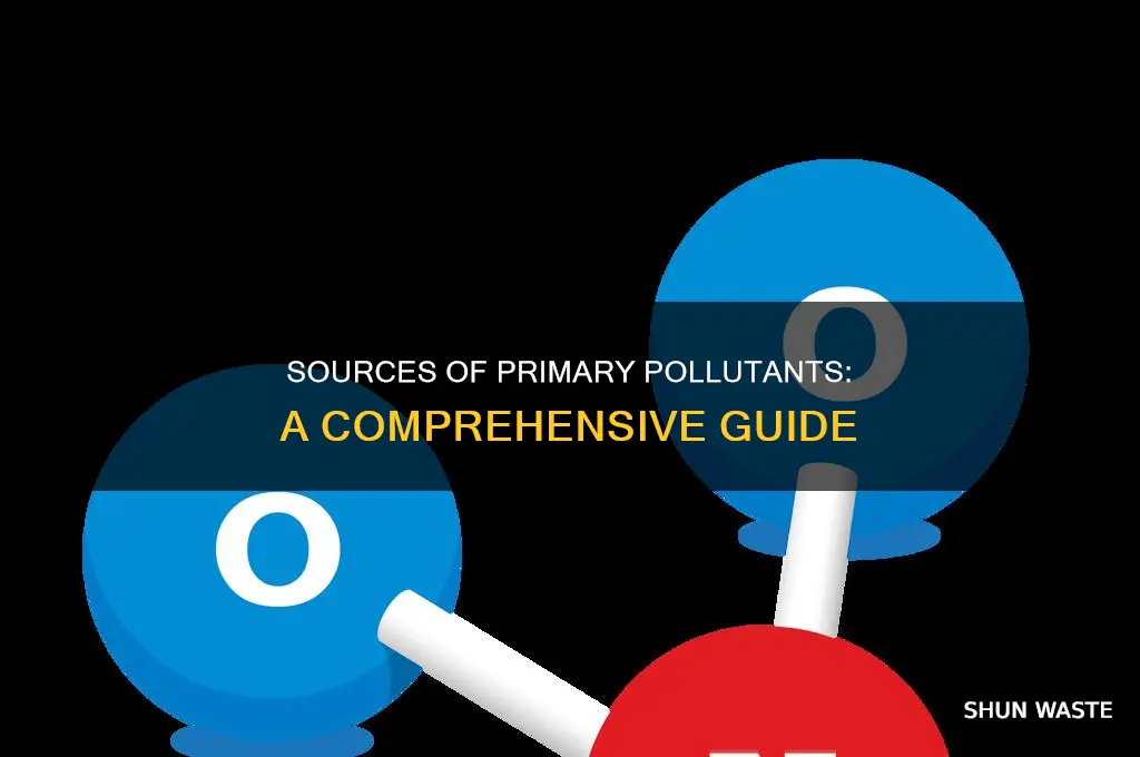 where do primary pollutants come from