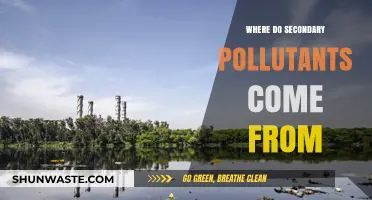 Sources of Secondary Pollutants: What You Need to Know